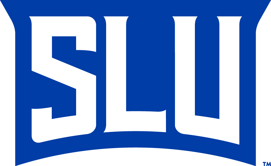 Saint Louis Billikens 2015-Pres Wordmark Logo v6 t shirts iron on transfers